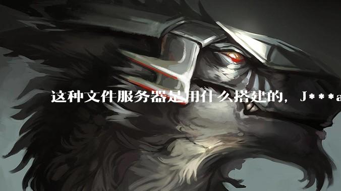这种文件服务器是用什么搭建的，J***a 能实现吗？