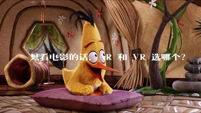 只看电影的话，AR 和 VR 选哪个？