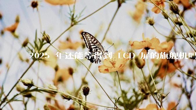 2025 年还能等得到 LCD 屏的旗舰机吗？