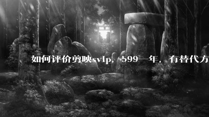 如何评价剪映svip，599一年，有替代方案吗？