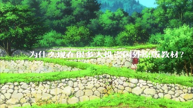 为什么现在很多人推崇国外原版教材？
