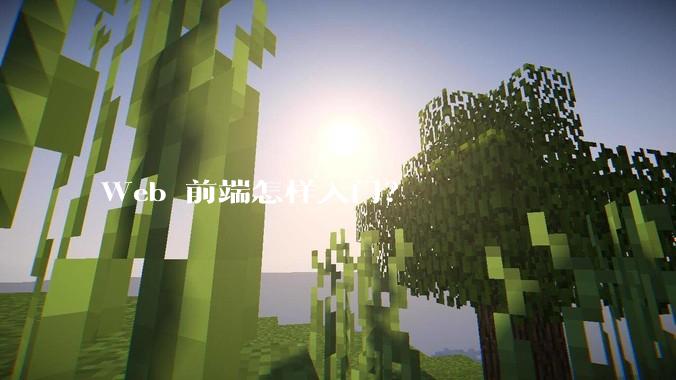 Web 前端怎样入门？