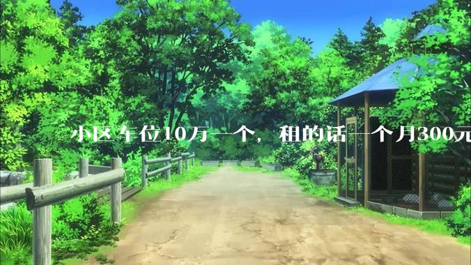 小区车位10万一个，租的话一个月300元，还有必要买车位吗？