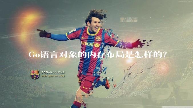 Go语言对象的内存布局是怎样的？