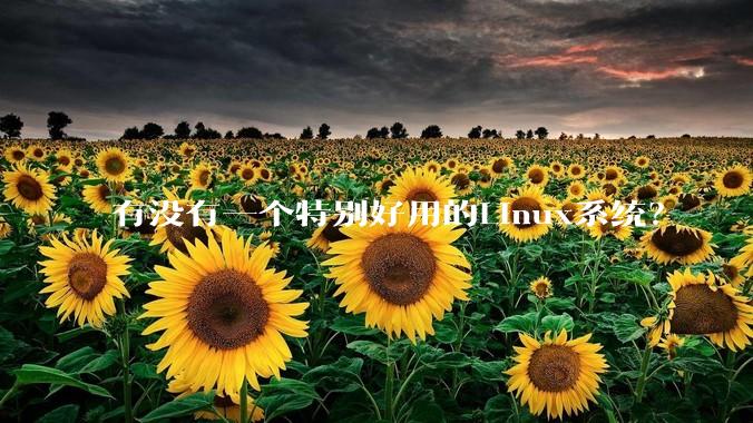 有没有一个特别好用的Linux系统？