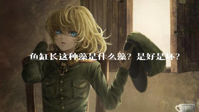 鱼缸长这种藻是什么藻？是好是坏？