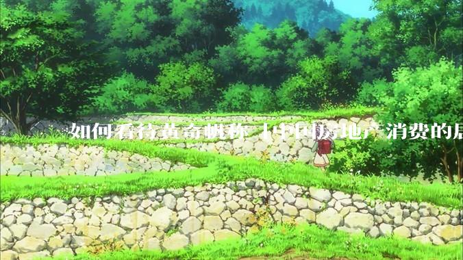 如何看待黄奇帆称「中国房地产消费的居民负债占家庭收入比重达 137.9% ，需调整抑制消费政策」？