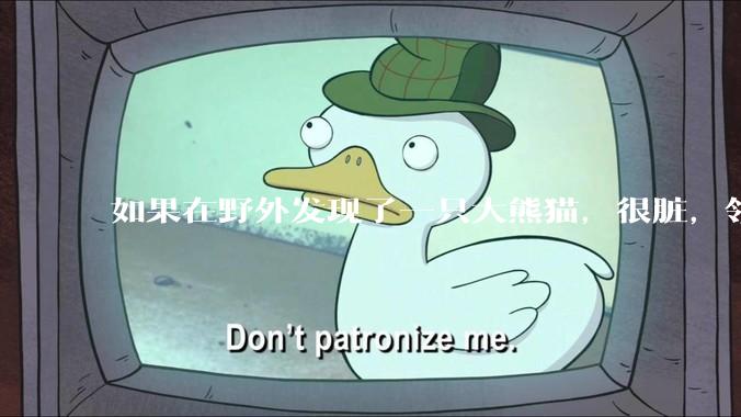 如果在野外发现了一只大熊猫，很脏，领回家给他洗个澡，再养几天，犯法吗？