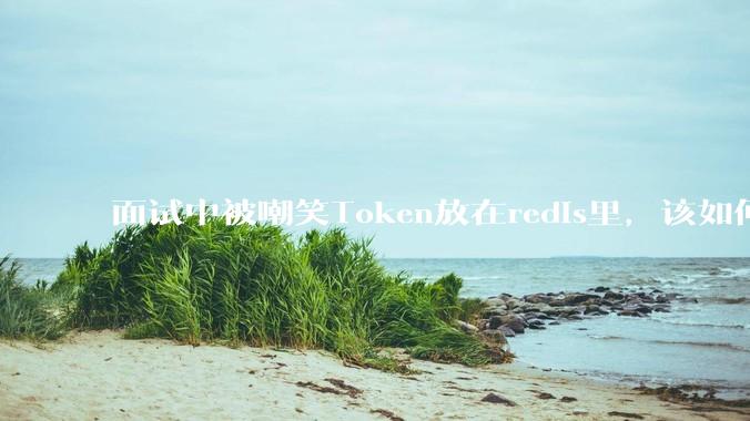 面试中被嘲笑Token放在redis里，该如何应对这种情况呢？