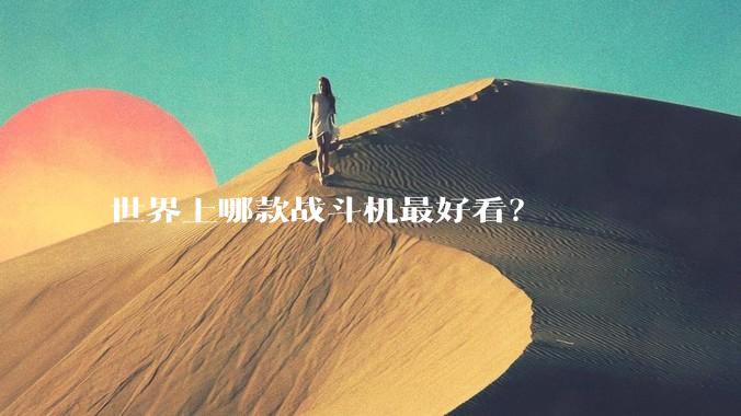 世界上哪款战斗机最好看？
