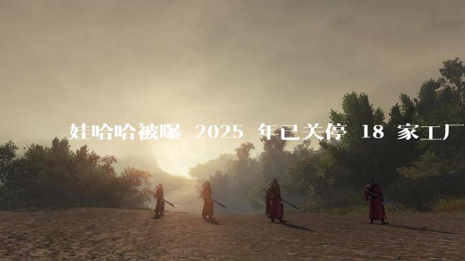 娃哈哈被曝 2025 年已关停 18 家工厂，此前曾回应纯净水由今麦郎代工，娃哈哈到底在布局什么？