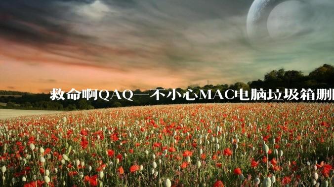救命啊QAQ一不小心MAC电脑垃圾箱删除了一个文件怎么找回?